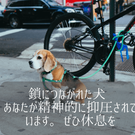 犬の夢【夢占い一覧表】忠誠心や友情をあらわす