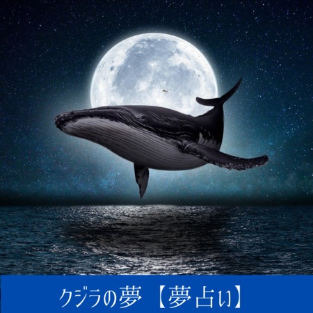 クジラの夢【夢占い一覧表】リスペクトできる人や仕事の象徴