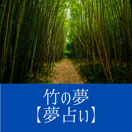竹の夢の意味：成長が早いので、能力が伸びていくこと、エネルギーが増すことを意味