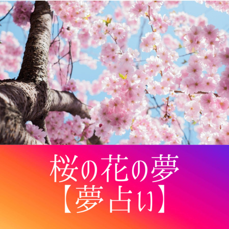 桜⁡の夢の意味：すぐに散るので、はかなさの象徴