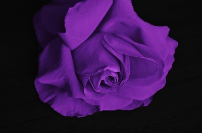 紫色のオーラの意味と特徴