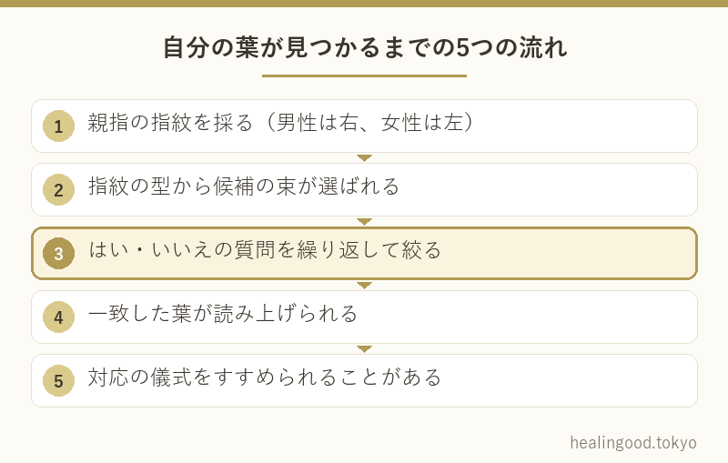 自分の葉が見つかるまでの5つの流れ