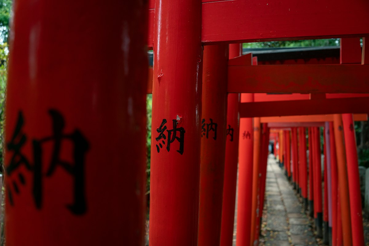 神社の境内で出会う