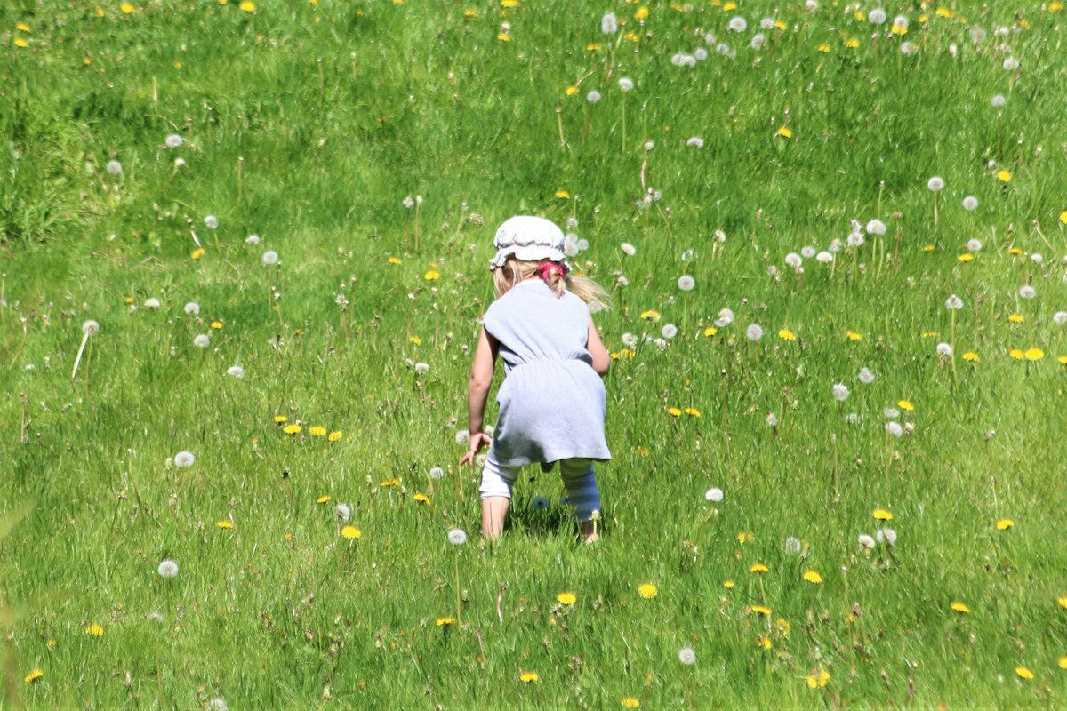 5.子どものころ好きだった遊びをもう一度する