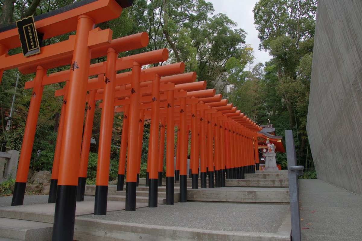 1.基本は授かってから1年が目安